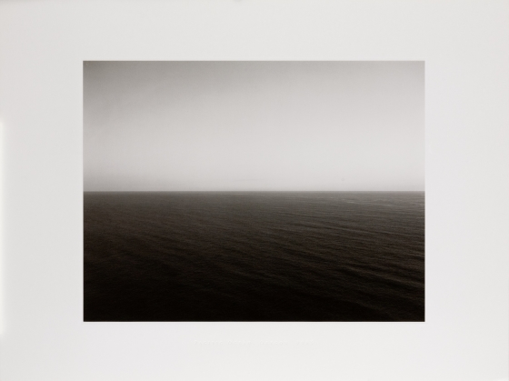 置物 pacific ocean Amazon.com: Safari Ltd. Pacific TOOB - 10 Miniature Marine Animal