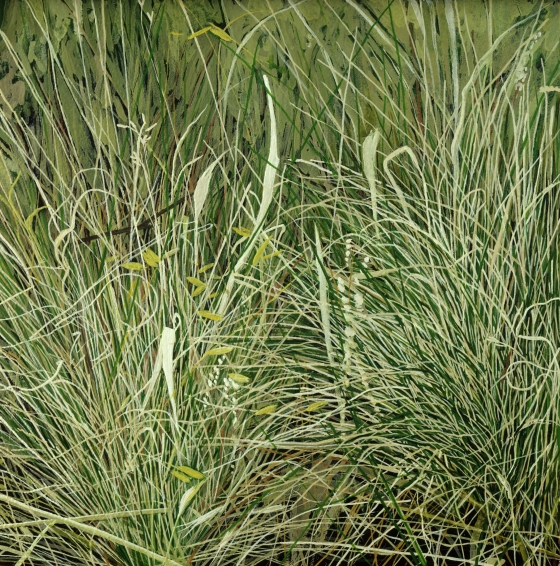 American Grasslands: Prairie #5 by Karen E. Kitchel