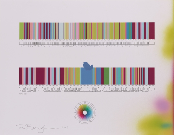 Purple Rain (studio working study) by Tim Bavington (English)