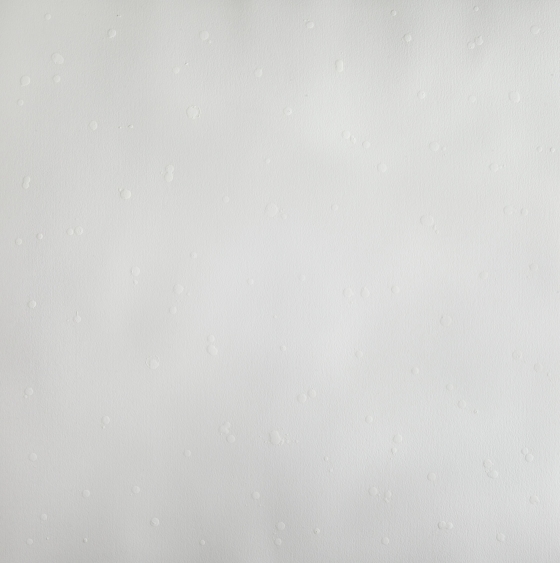 Antidote Drawing by Cornelia Parker