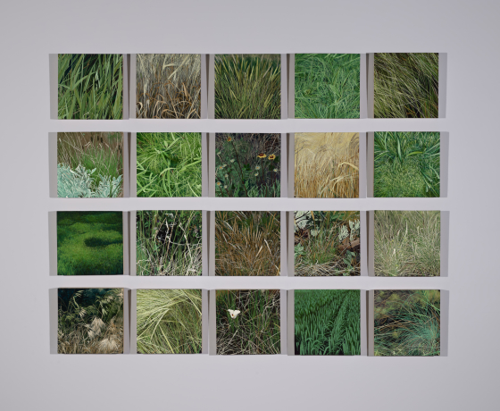 American Grasslands by Karen E. Kitchel