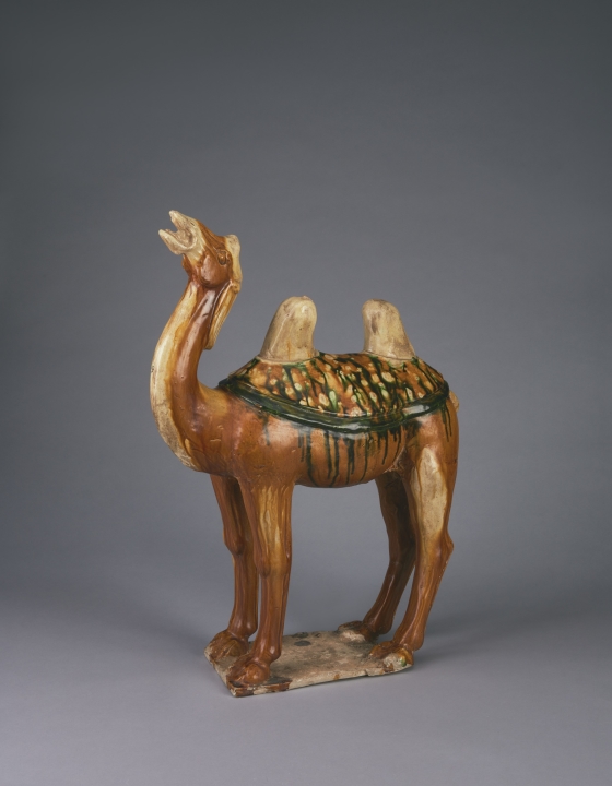 Camel | Denver Art Museum