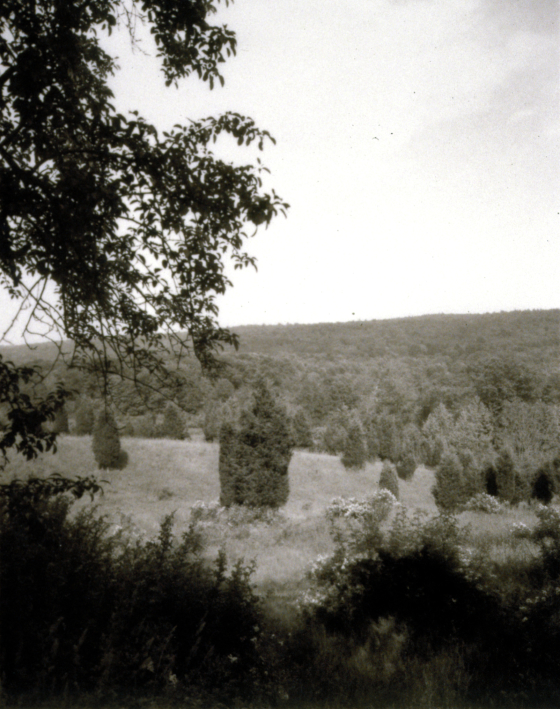 Photograph by Jan Groover by Jan Groover