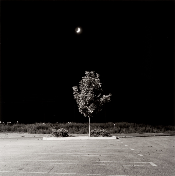 Fort Collins from the series Summer Nights | Denver Art Museum