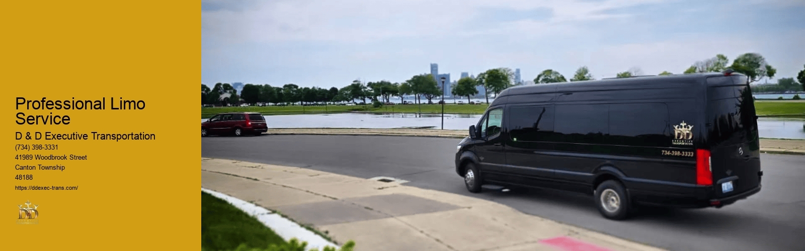 Professional Limo Service