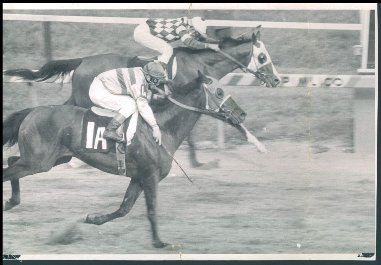 From the Vault: The Preakness Stakes