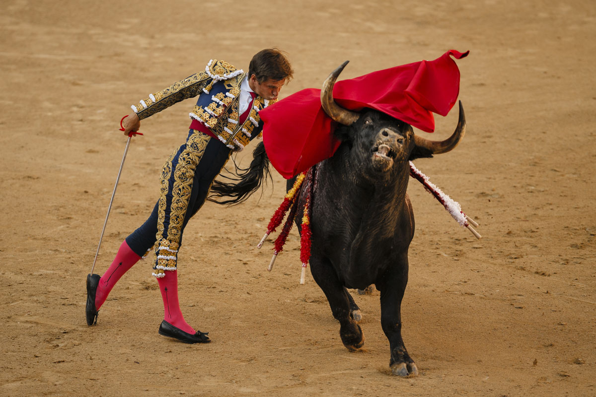 Spanish Bullfighting