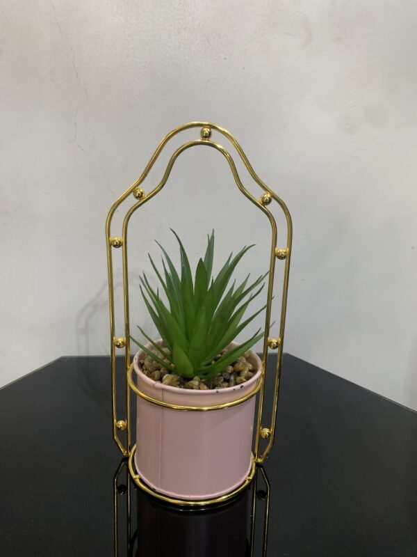 POTTED PLANT 3879 - Image 5