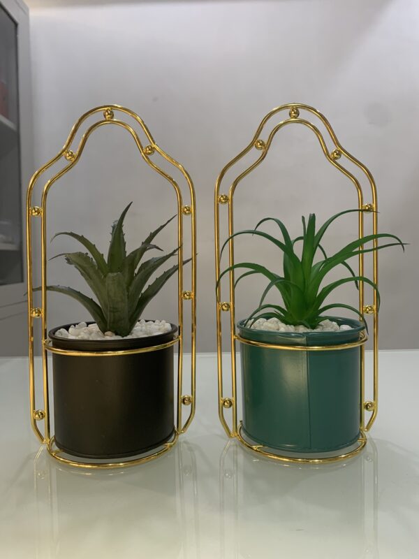 POTTED PLANT 3879