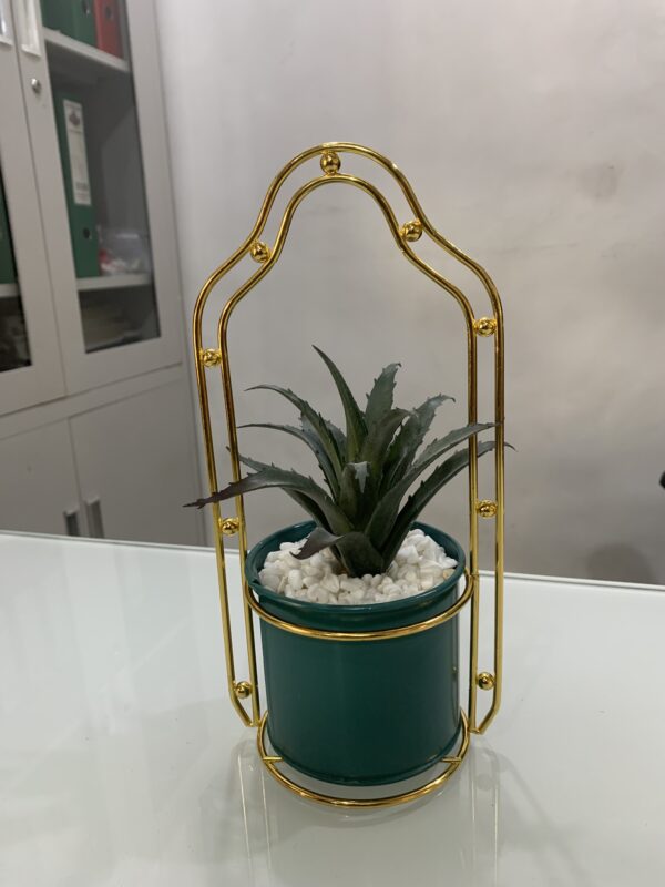 POTTED PLANT 3879 - Image 3