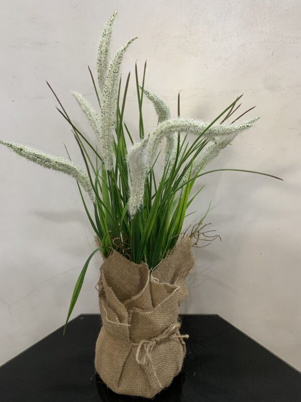 POTTED PLANT 3992 - Image 2