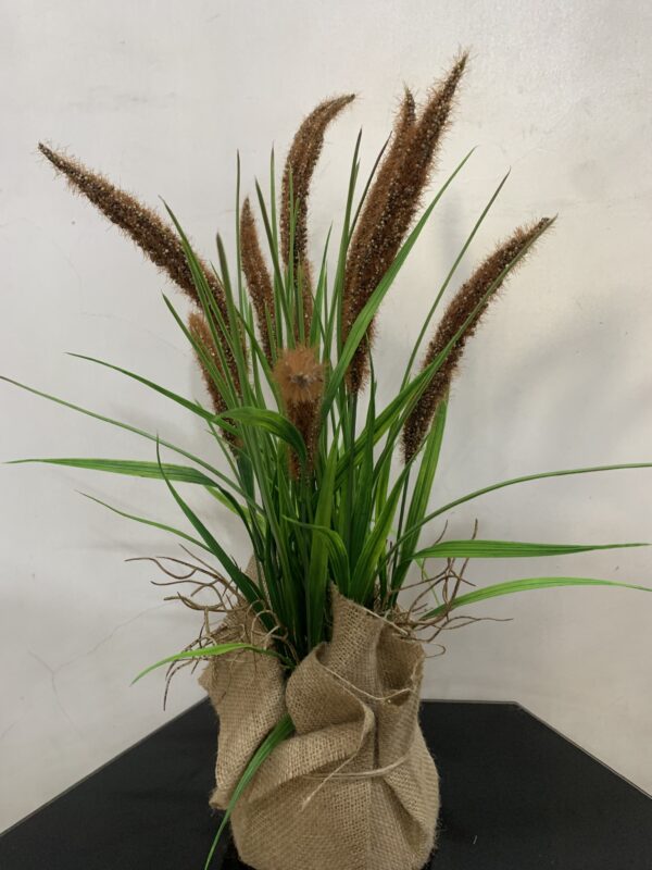 POTTED PLANT 3992