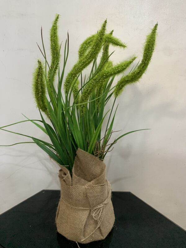 POTTED PLANT 3992 - Image 3
