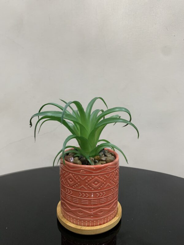 POTTED PLANT 3991 - Image 2