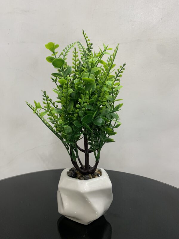 POTTED PLANT 3985