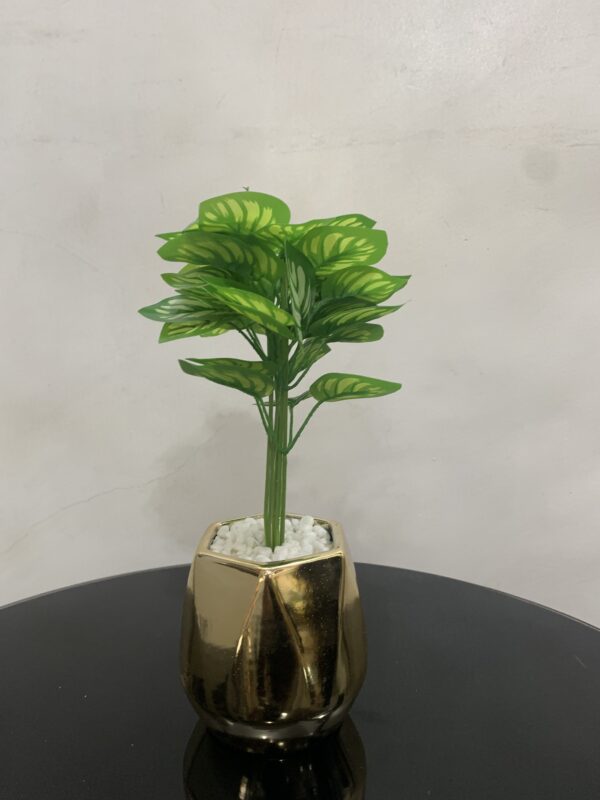 POTTED PLANT 3978