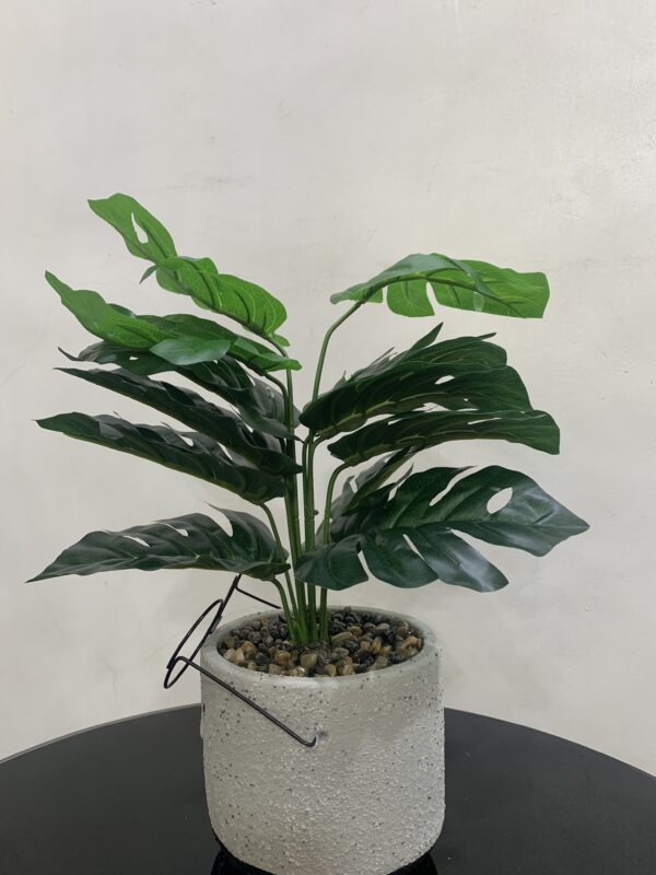 POTTED PLANT 3982 - Image 2