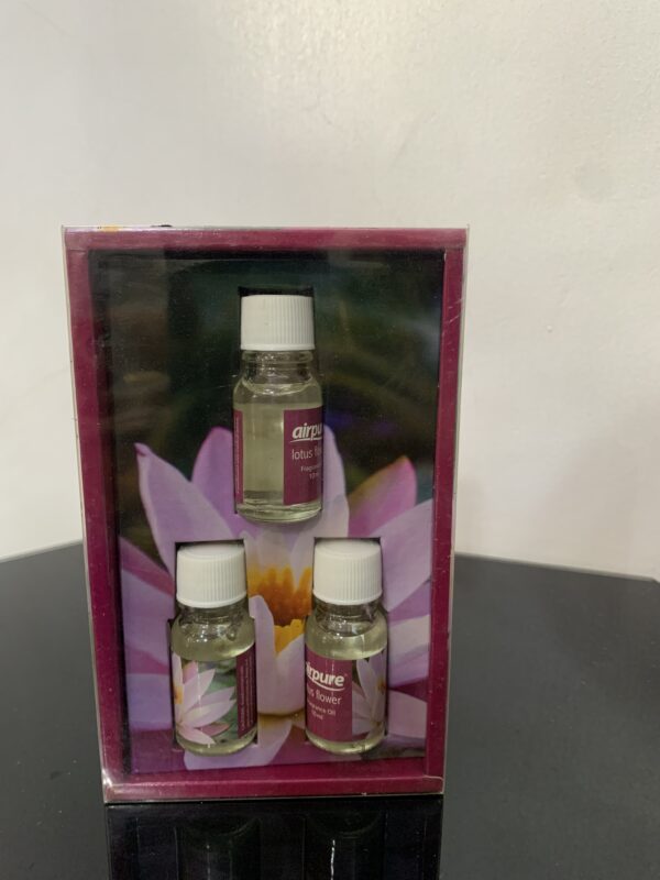 HOME FRAGRANCE KIT 4193 - Image 5