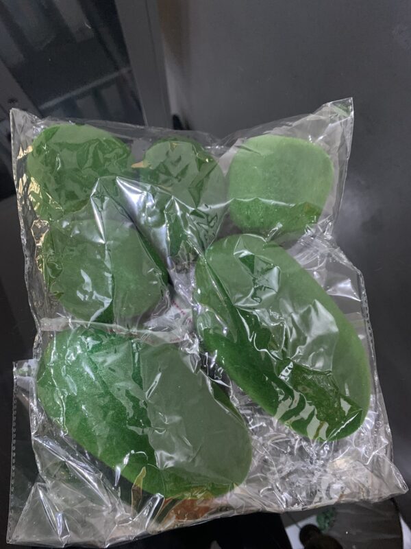 SHAPLESS GREEN BALLS 4518 - Image 2