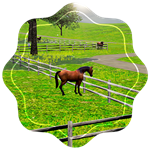 Ride of the Week: 45