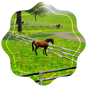 Ride of the Week: 45