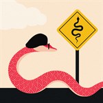 Snakes on a Plain