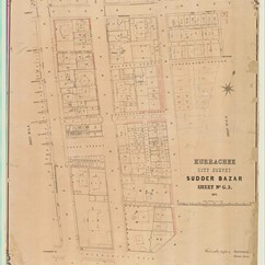 City Survey.