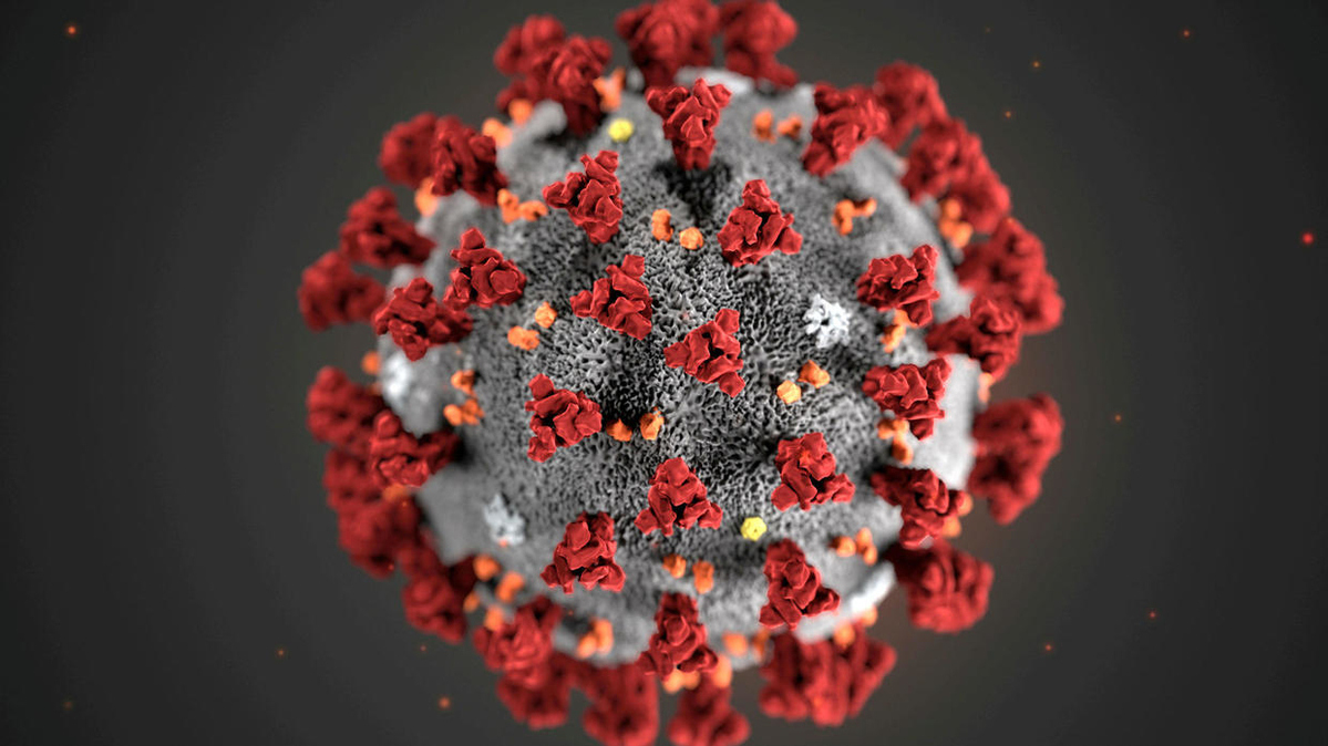 coronavirus-3.jpeg coronavirus-3.jpeg