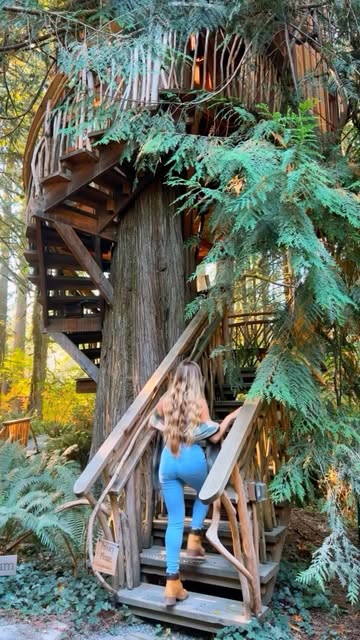 Dreaming of warmer days at @treehousepoint 🌲🔆

#treehouse #treehouselife #stayandwander