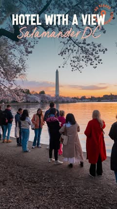 🌸 Discover the hidden gem of cherry blossom season: the breathtaking views of the Tidal Basin from @salamanderhoteldc. 🌸 Plus, indulge in cherry blossom-themed spa treatments and afternoon tea! 🍵✨

Missed out on DC this year? Consider this your si