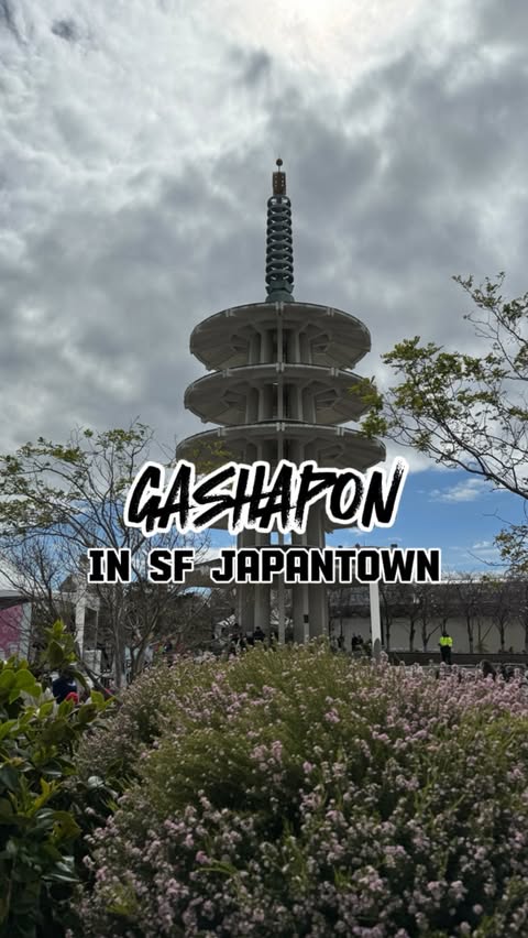 pov: finding gashapon in SF 

🚨 @gashaponus has moved and opened up in SF’s Japantown! 

I went last weekend to check out the new location since the Mitsuwa location closed & it was PACKED. Definitely did not make it any better that it was the cherr