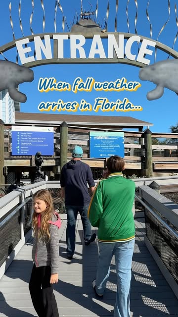 Save for your Thanksgiving break adventures! 🩵

When fall weather arrives in Tampa Bay, Tampa Electric’s free Manatee Viewing Center in Apollo Beach is the place to go to see manatees.

Free to visit and open seasonally from Nov. 1 through April 15,
