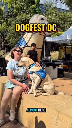 🐾 DogFest Washington DC
🗓️ October 4 | 11:00am–3:00pm
📍 Reston Town Center, 1825 Discovery St, Reston, VA 20190
🎟️ FREE TO ATTEND

DogFest hosted by Canine Companions is making its stop in the DC area. Bring your family and dogs to enjoy a day of