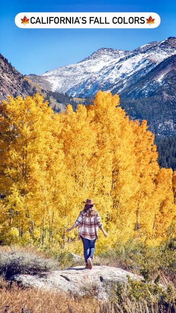Is anyone else looking forward to Fall?🍁
→ Share this with your Autumn-leaf loving adventure buddy!

Every October, I spend 3 weeks exploring California’s Eastern Sierra for the best Fall colors, and below are some of my favorite spots for experienc