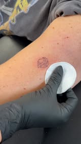 Went out for coffee, came home with 2 tattoos. ☕️🦁 Shoutout to @highvibestattoo for making my first tattoo experience so chill and being a great guide through the process.