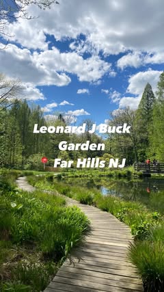🪷 Send this post to your friends that loves secret spots 

Peaceful and gorgeous, this is one the best secret gardens in New Jersey. Located in Far Hills, it consists of a series of alpine and woodland gardens situated in a 33-acre wooded stream val
