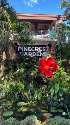 The most underrated gardens in Miami and it’s only $5 to get in ✨

Stroll through tropical plants, waterfalls, and even see exotic animals like flamingos and parrots. They also host art exhibits, family-friendly events, and outdoor concerts throughou