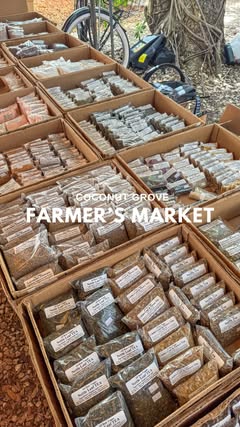 The Coconut Grove Farmers Market needs to be part of your weekend routine! From burritos and hummus to organic produce, nut butters, and teas from @glaserorganic… we’re obsessed and I think you will be too 😍

📍3300 Grand Avenue, Coconut Grove
Open 