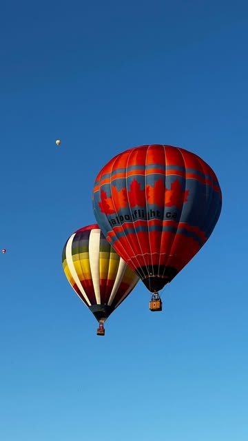 L’Été arrive avec les beaux jours, les pique-niques, les promenades à vélo, les verres en terrasse, les soirées festives et bien sûr les festivals de @montreal 🪩✨🎶

Voici la liste des festivals de musique 2024 à ne pas manquer : 
. @piknicmtl - 19 