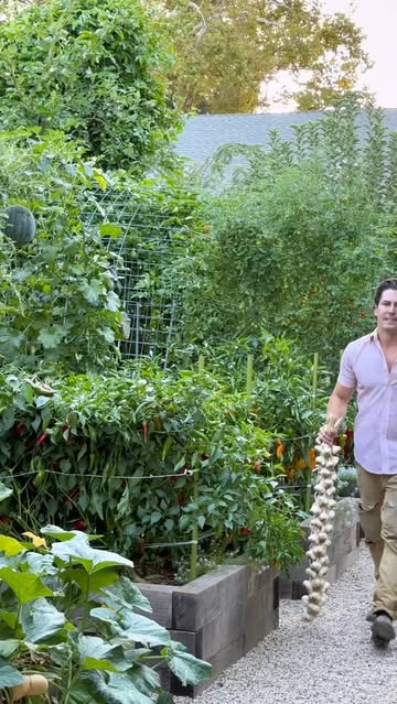 The time to order seed garlic is now! Receive 20% off your order by using code URBANGARLIC25 at GrowOrganic.com (link in bio) valid 9/4 - 10/4.

I’m partnering with @pvfgs_groworganic , the local nursery I’ve been sourcing my seed garlic from for ove