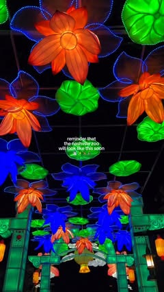 It’s November which means Nashville Christmas is coming soon! Zoolumination is back at the @nashvillezoo this year starting November 13th! I can’t wait to see what they do this year! 🎄✨