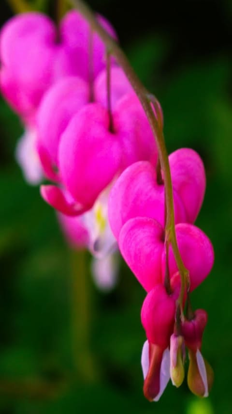 A gentle reminder for myself and anyone who resonates with it 🫶

I recently watched a show on Netflix that documented this women’s healing journey from something I have experienced too. At the end of the season she overcomes her trauma. She finds he