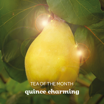 DAVIDsTEA - Buy Loose Leaf Tea Online