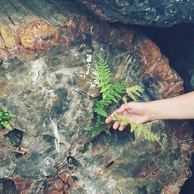 growth-in-unlikely-places