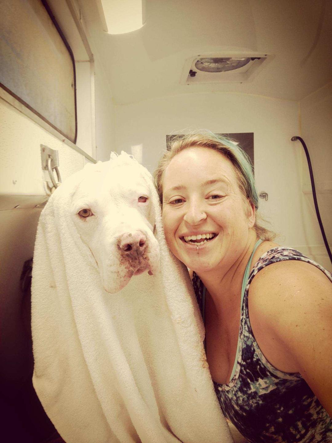 fantasy spa mobile pet grooming