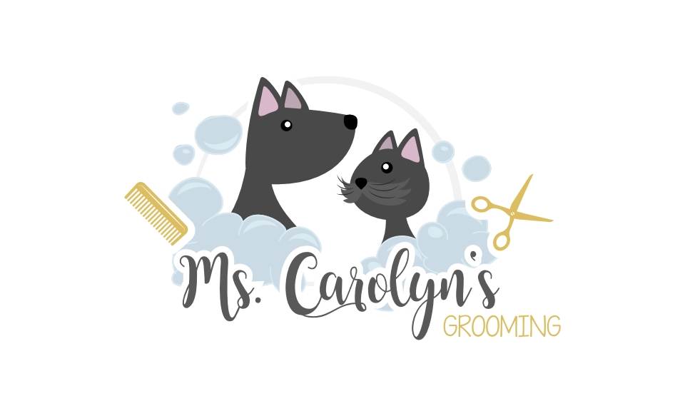 carolyn's cat grooming