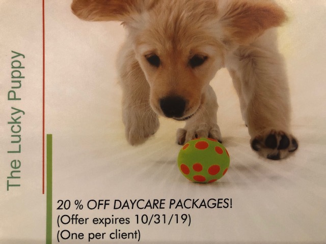 lucky puppy grooming