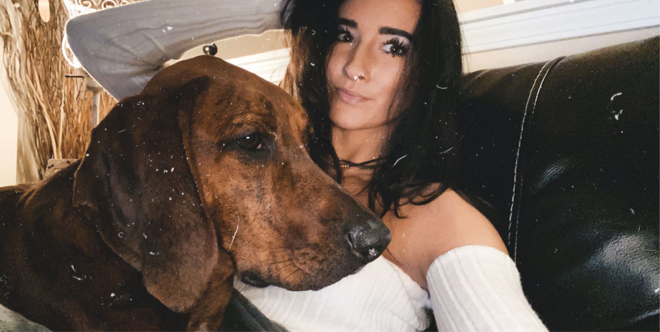 anns mobile grooming