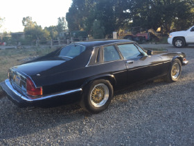 1983 Jaguar XJ-Type 12