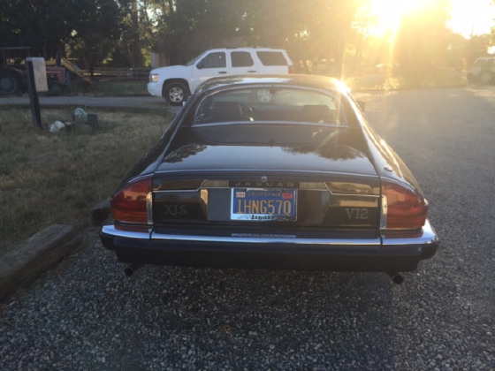 1983 Jaguar XJ-Type 12